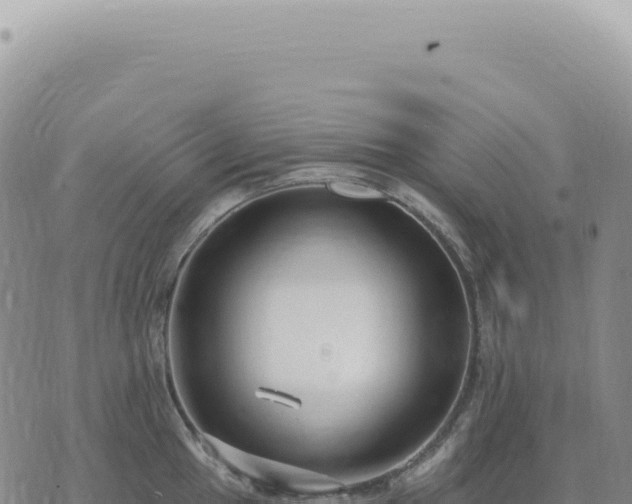 X0000073711049200608101834