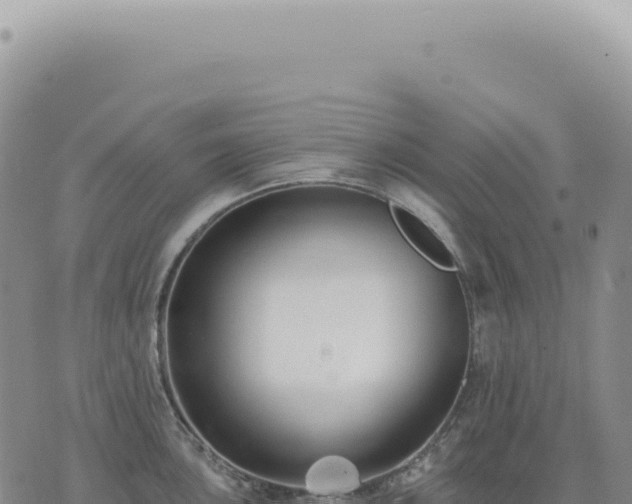 X0000073711051200608101834