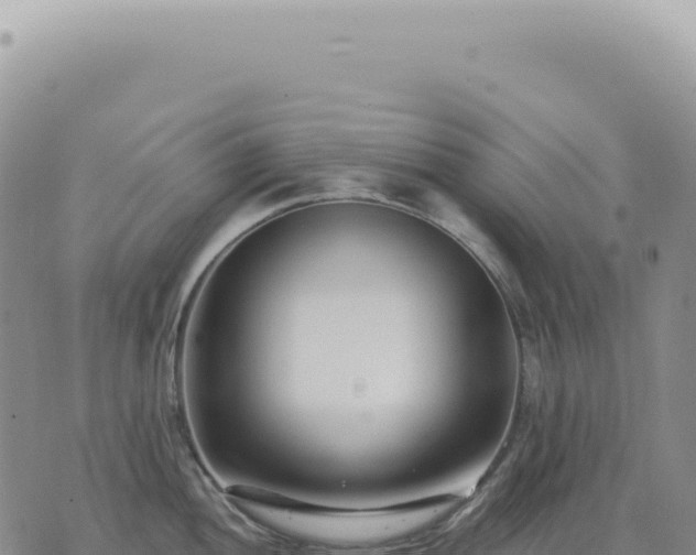 X0000073711052200608101834