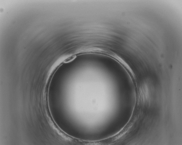 X0000073711053200608101834