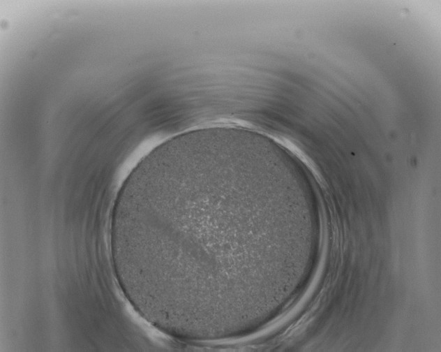 X0000073711054200608101834