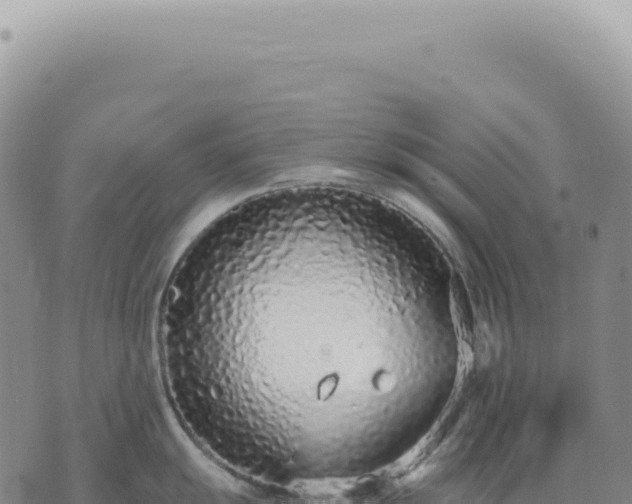 X0000073711055200608101834