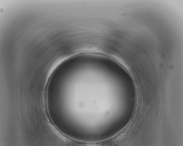 X0000073711056200608101834