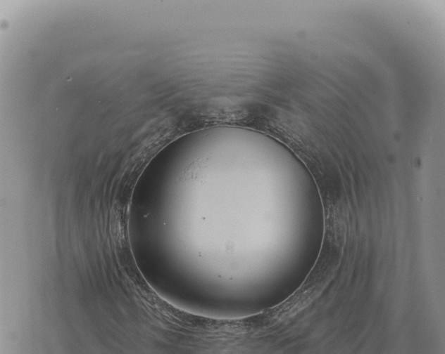 X0000073711058200608101833