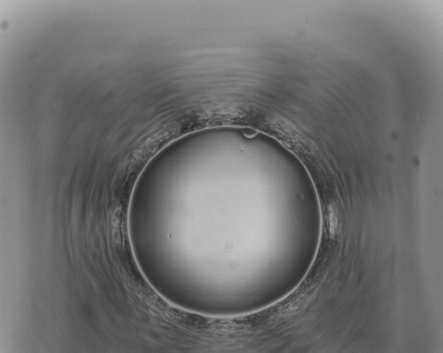 X0000073711059200608101833