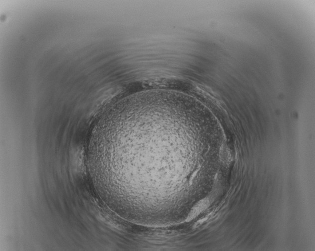 X0000073711060200608101833