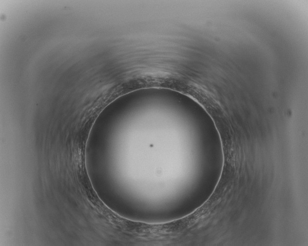 X0000073711061200608101833