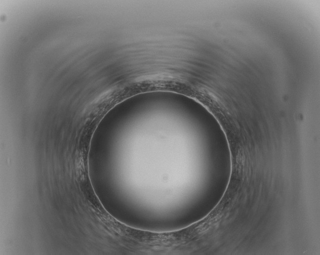 X0000073711062200608101833