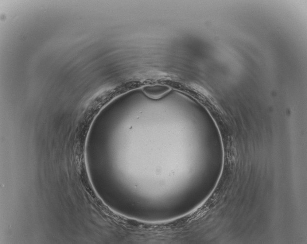 X0000073711063200608101833