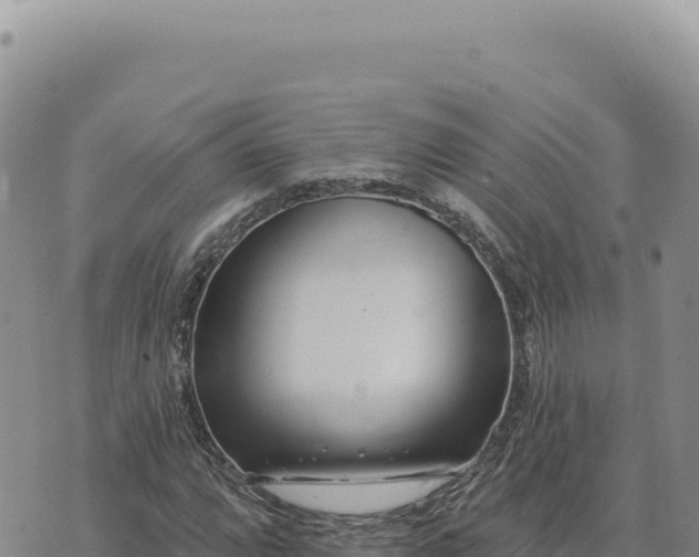 X0000073711064200608101833