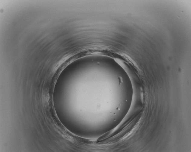 X0000073711065200608101833