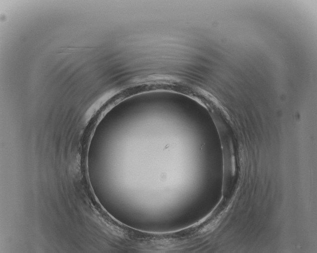 X0000073711066200608101833