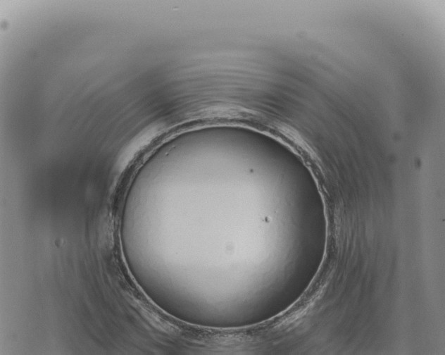 X0000073711067200608101833