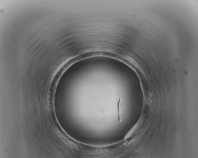 X0000073711068200608101833