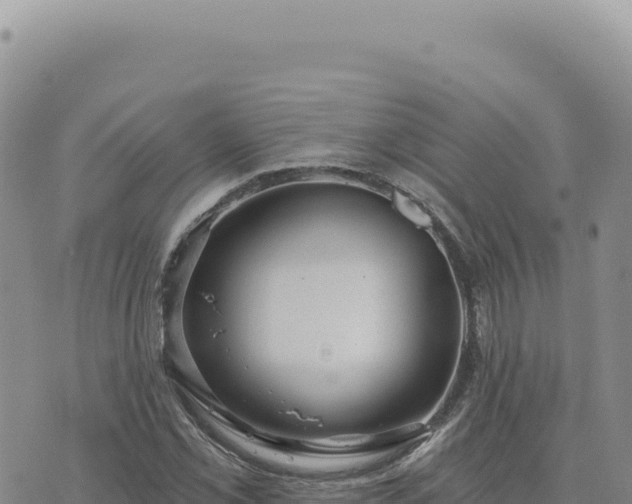 X0000073711069200608101833