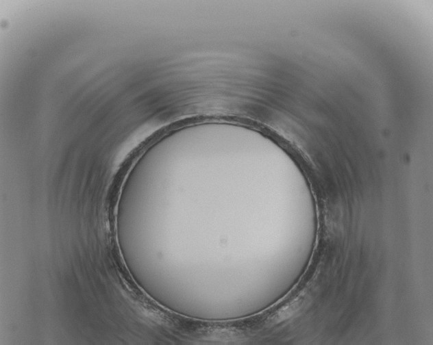 X0000073711070200608101833