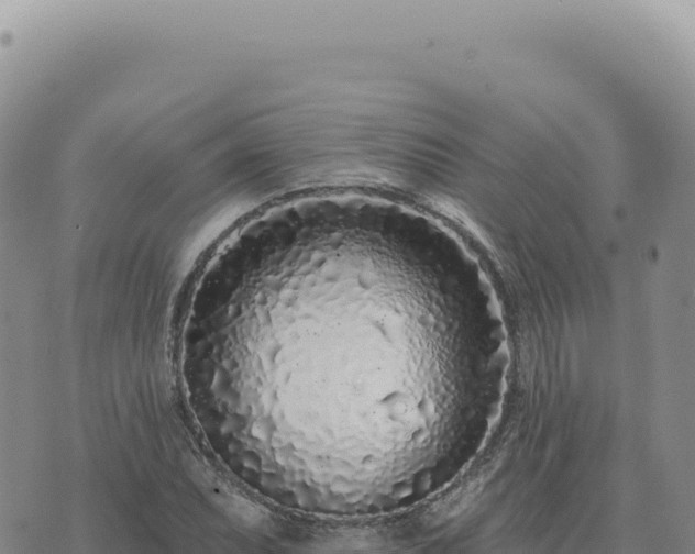 X0000073711071200608101833