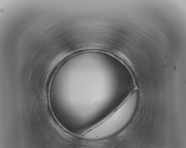 X0000073711072200608101833