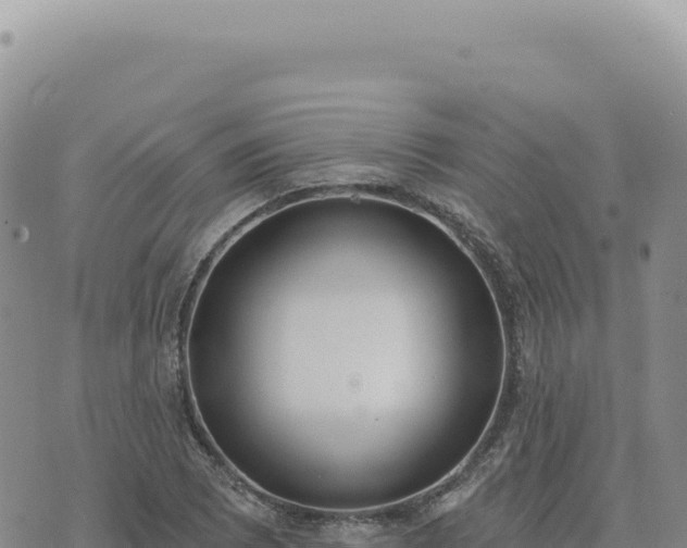 X0000073711073200608101833