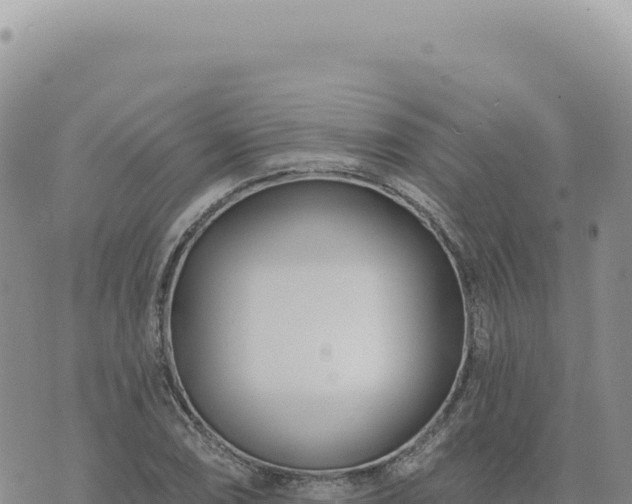 X0000073711074200608101833