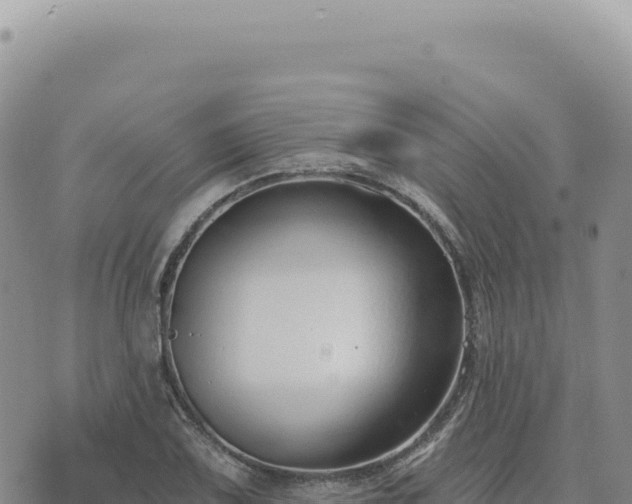 X0000073711075200608101833