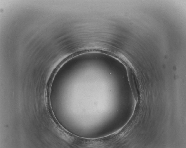 X0000073711076200608101833