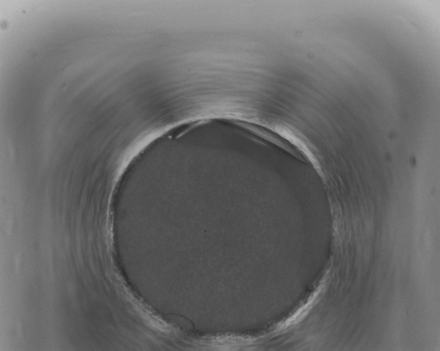 X0000073711077200608101833