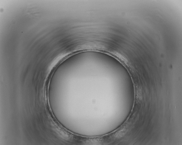 X0000073711078200608101833