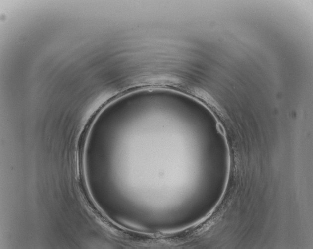 X0000073711079200608101833