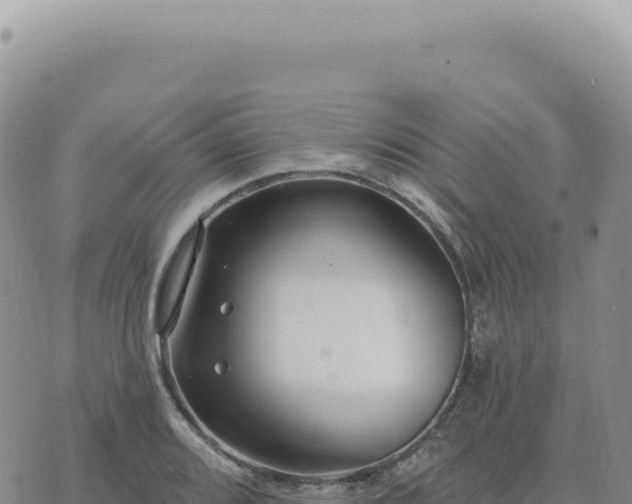 X0000073711080200608101833