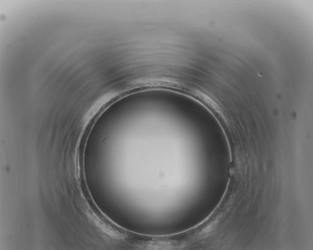 X0000073711082200608101833