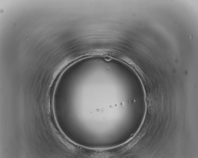 X0000073711083200608101833