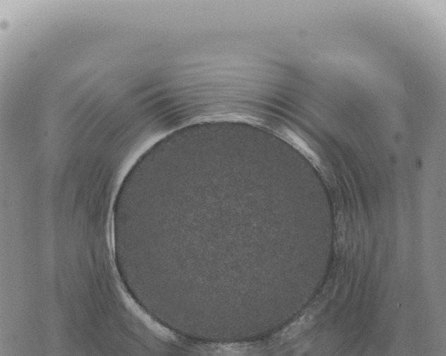 X0000073711084200608101833