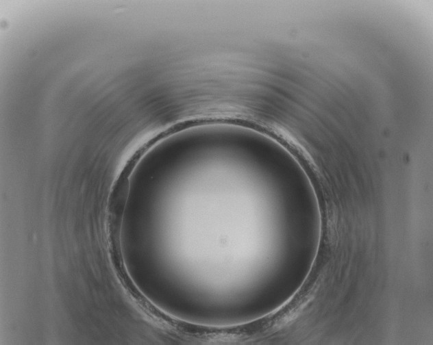 X0000073711085200608101833