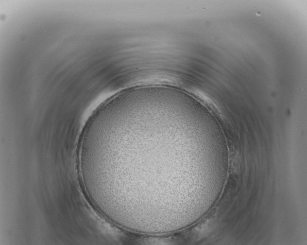 X0000073711086200608101833