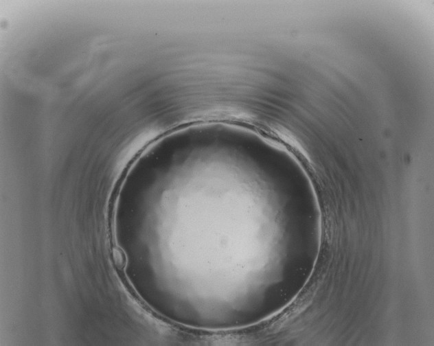 X0000073711087200608101833