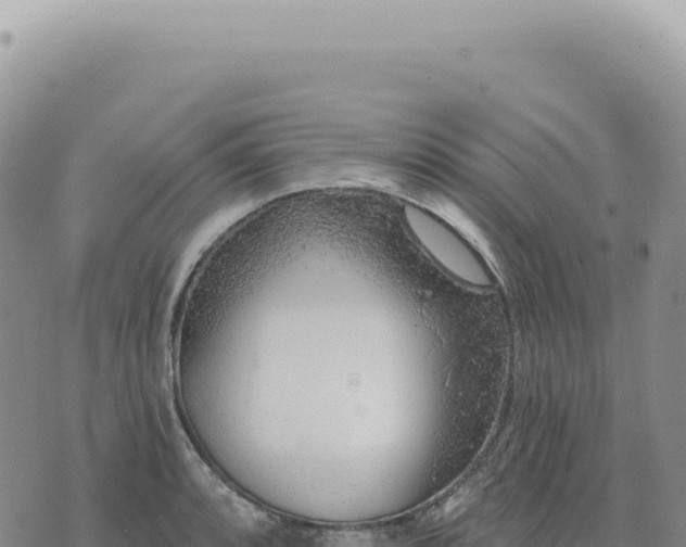 X0000073711088200608101833