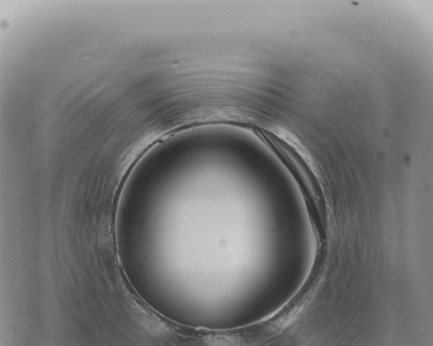 X0000073711089200608101833