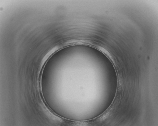 X0000073711090200608101833