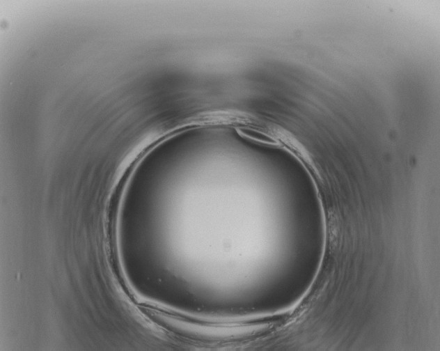 X0000073711091200608101833