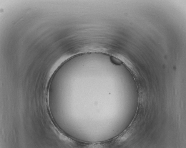 X0000073711094200608101833