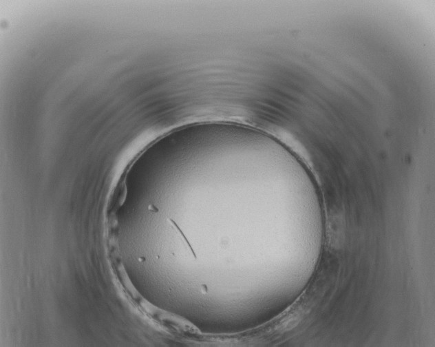 X0000073711096200608101833