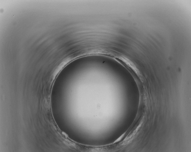 X0000073711097200608101833