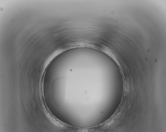 X0000073711098200608101833