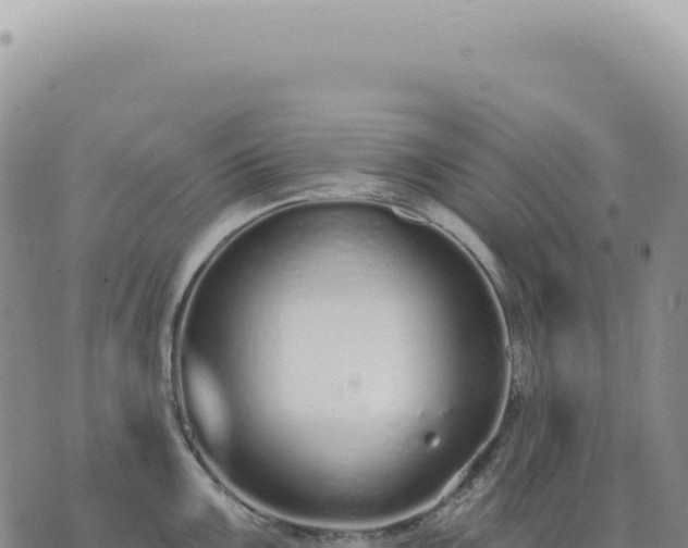 X0000073711099200608101833