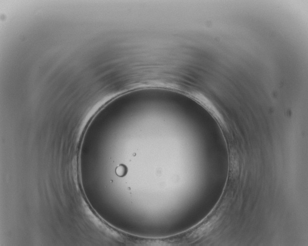 X0000073711100200608101832