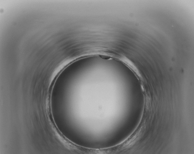 X0000073711101200608101832