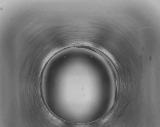 X0000073711102200608101832