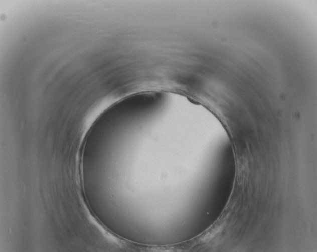 X0000073711103200608101832