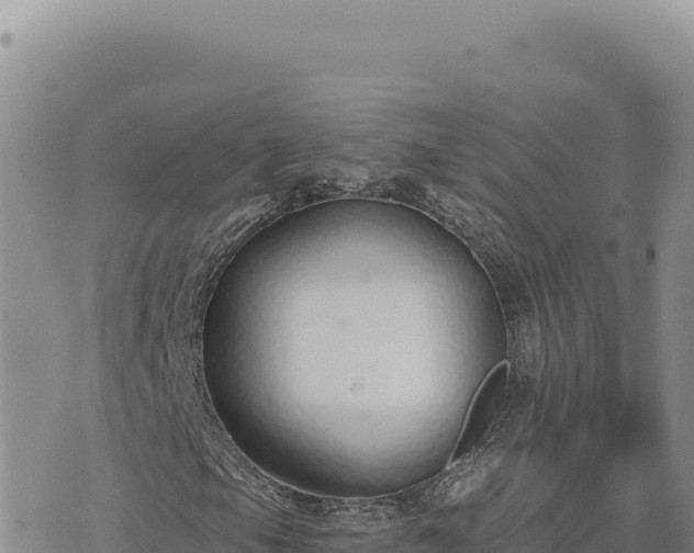 X0000073711105200608101832